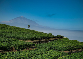 © Turismo de Tenerife