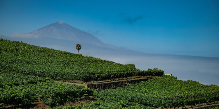 © Turismo de Tenerife