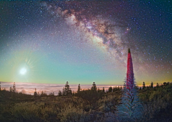 © Turismo de Tenerife