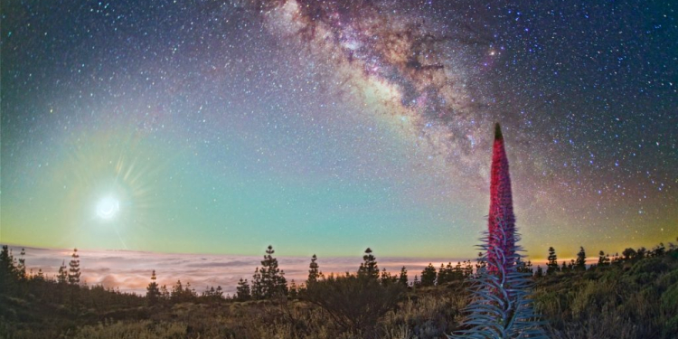 © Turismo de Tenerife
