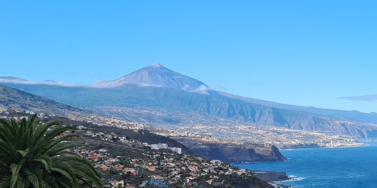 @ Terrazas del Sauzal