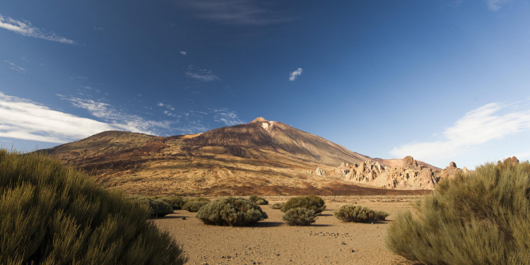 Turismo de Tenerife©