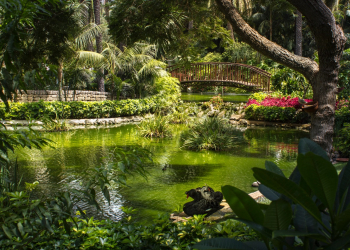 Hotel Botánico & The Oriental Spa Garden©