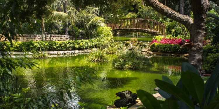 Hotel Botánico & The Oriental Spa Garden©