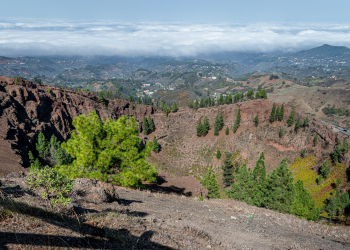 Ayuntamiento de Gáldar©
