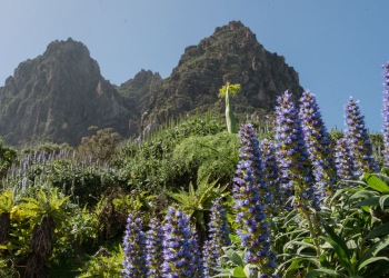Turismo de Gran Canaria©
