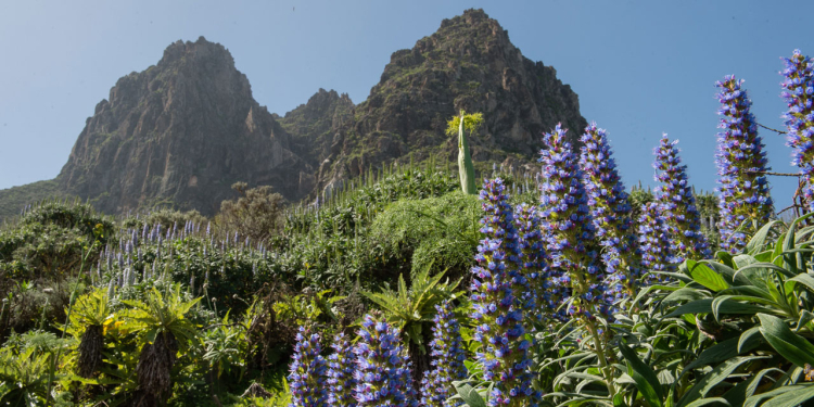 Turismo de Gran Canaria©