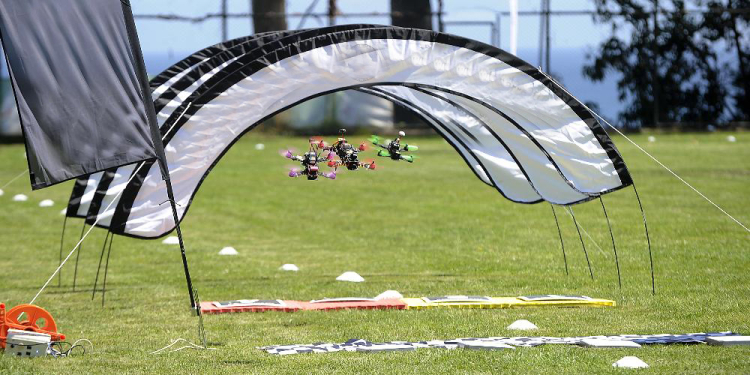 Club Deportivo Aligadron de Tenerife©