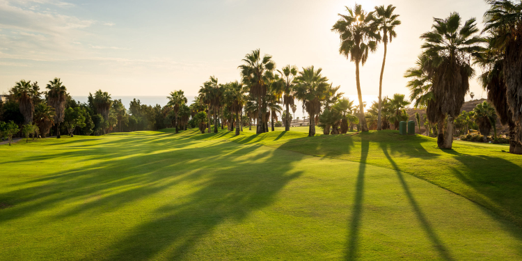 Campo de Golf de Costa Adeje©