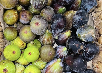 ©La Fucha Ekotienda