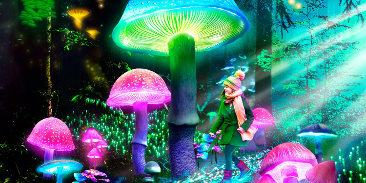 Foto: Real Jardín Botánico/ Let's Go