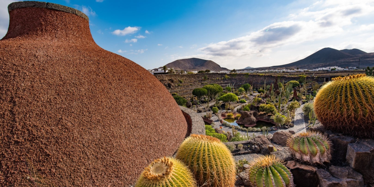 Foto: Cabildo de Lanzarote