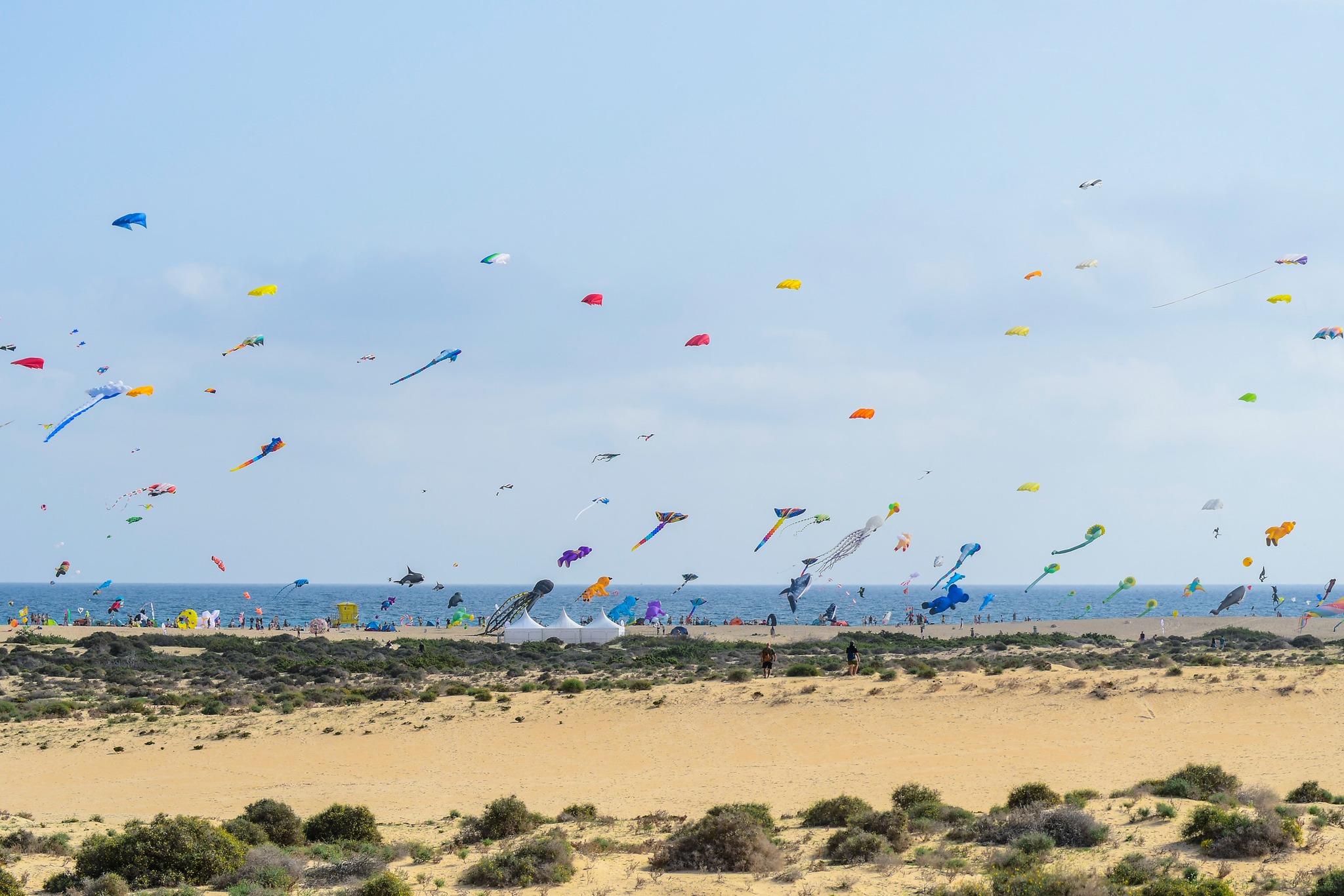 Fuerteventura Vuela Alto Con El Festival Internacional De Cometas The Showroom Mag