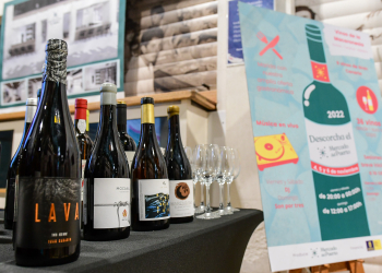 Foto: Cabildo de Gran Canaria