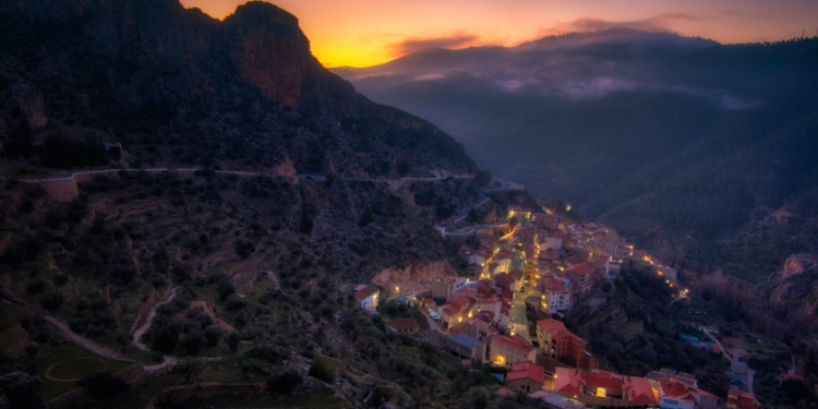 Foto: Natural Portraits/ Canarian Photo Awards