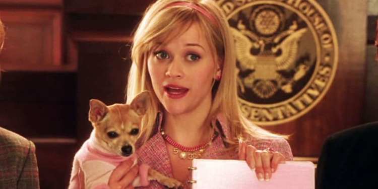 Una rubia muy legal, el musical