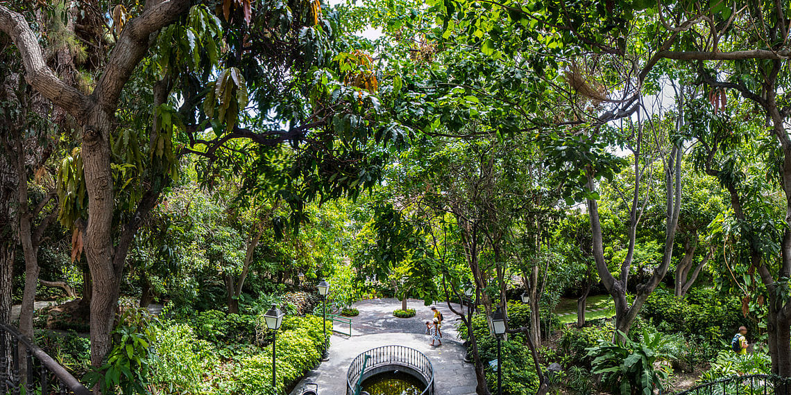 Huerto de las flores ©