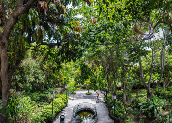 Huerto de las flores ©