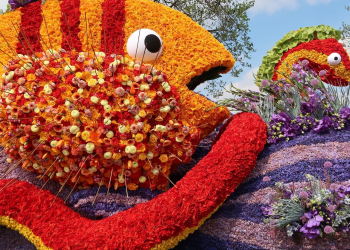 BLOEMENCORSO BOLLENSTREEK
