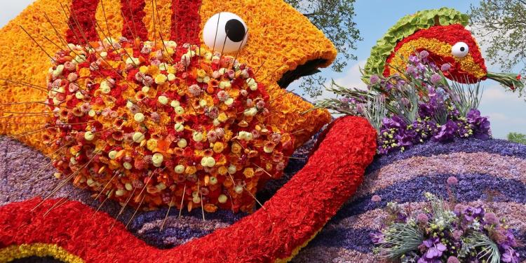 BLOEMENCORSO BOLLENSTREEK