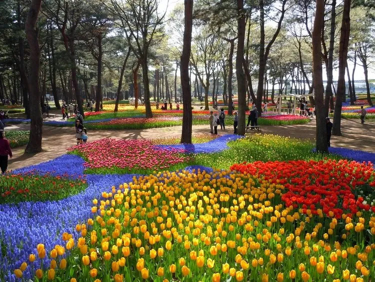 Diferentes flores del Parque Hitachi 