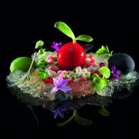 All copyrights reserved, Copyright uses for Ritz Carlton Hotels and Resorts for sales and marketing promotions only