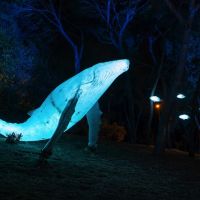 © Naturaleza Encendida