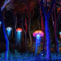 © Naturaleza Encendida