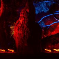 © Naturaleza Encendida